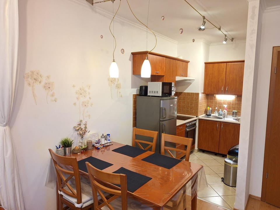 Kitchen or kitchenette, Dining area, oven, stove, toaster