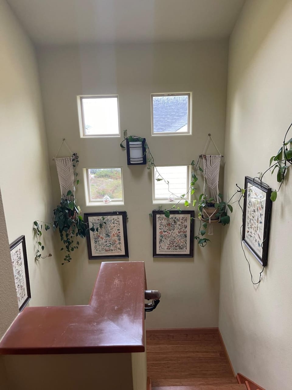 Starfish Manor House in Devils Lake