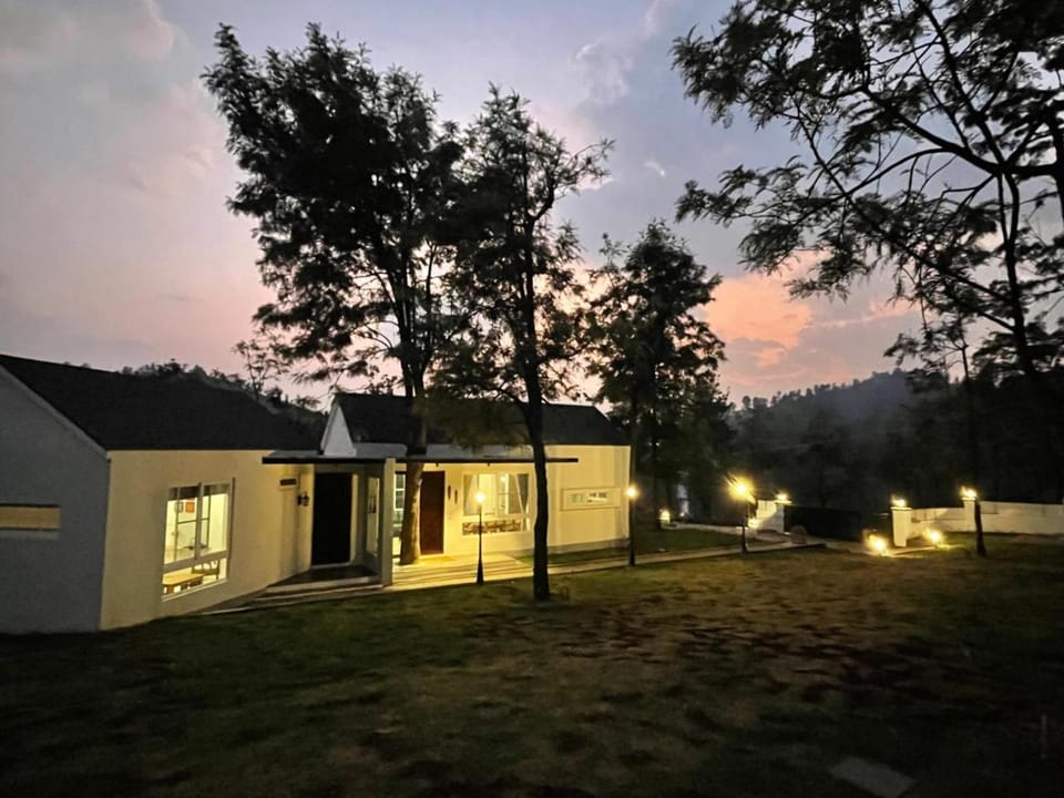 Property building, Night, Garden