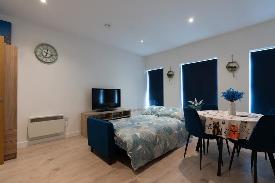 Bed, TV and multimedia, Living room, Photo of the whole room, Seating area, Dining area
