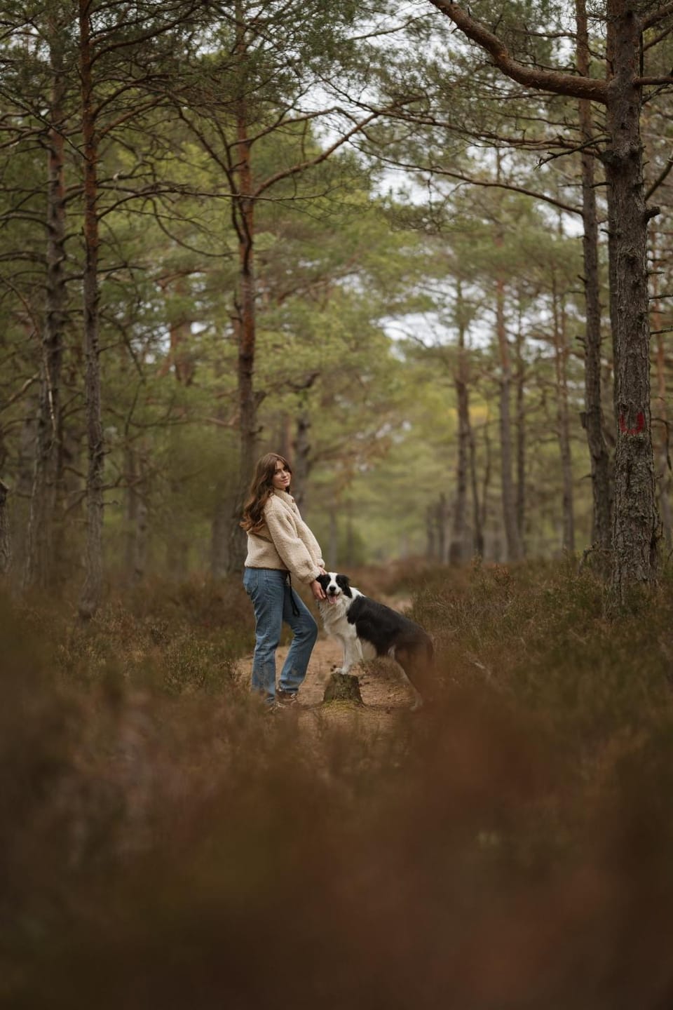 Ciekocino Forest Apartamenty nad morzem Apartment in Pomeranian Voivodeship