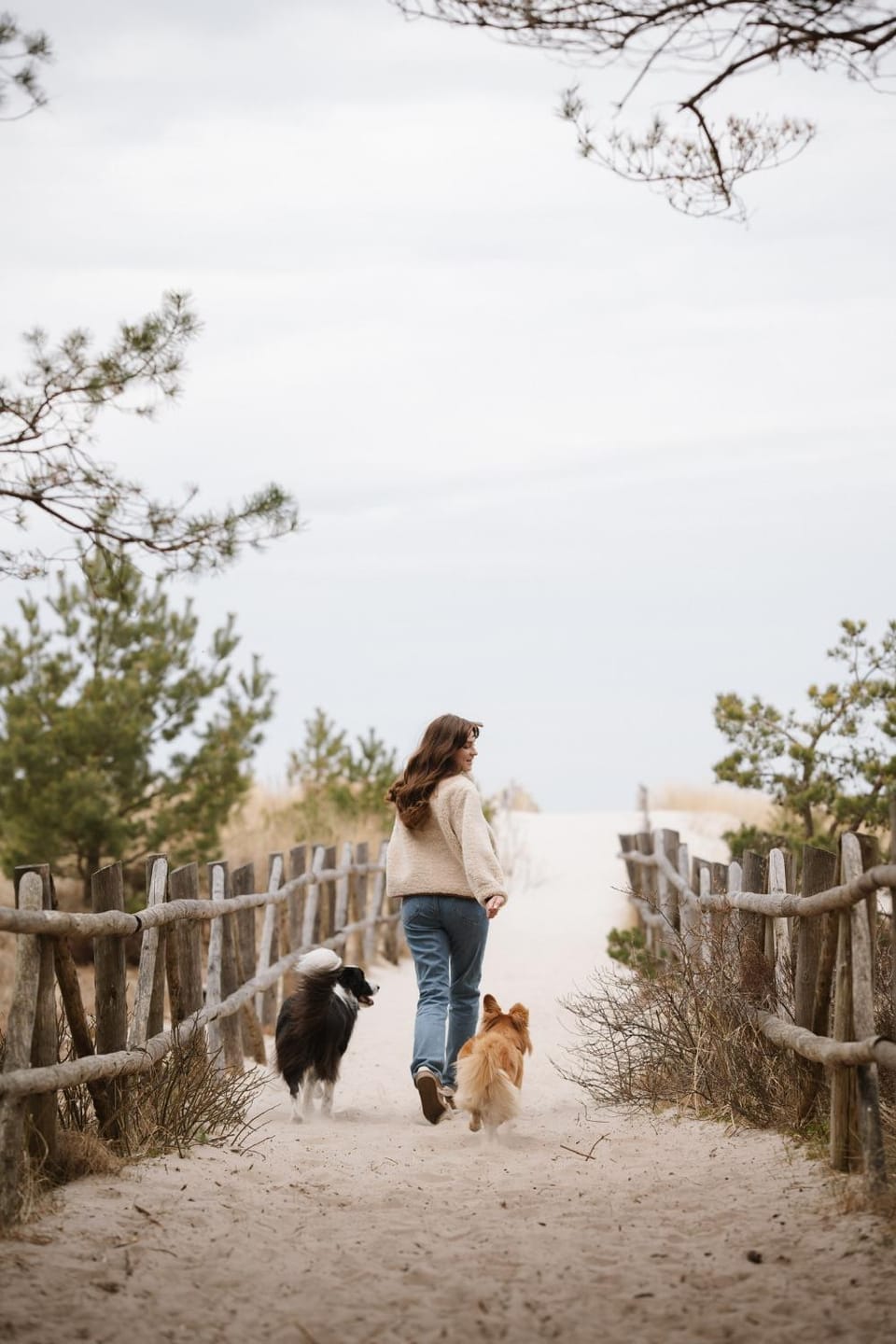 Ciekocino Forest Apartamenty nad morzem Apartment in Pomeranian Voivodeship