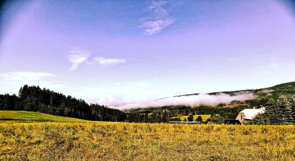 Natural landscape, Garden, Mountain view