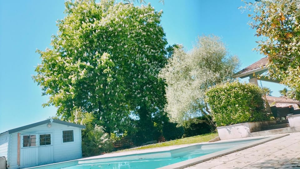Pool view