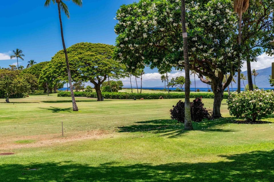 Maui Eldorado #H104 Garden View House in Kaanapali