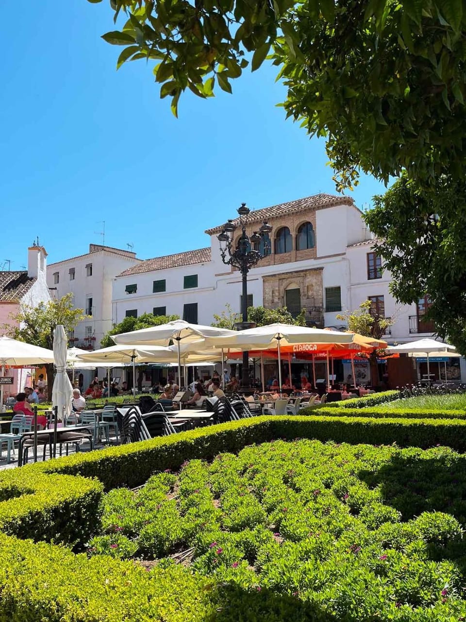 Cosy and Secure Room Marbella Center Pool Bed and Breakfast in Marbella