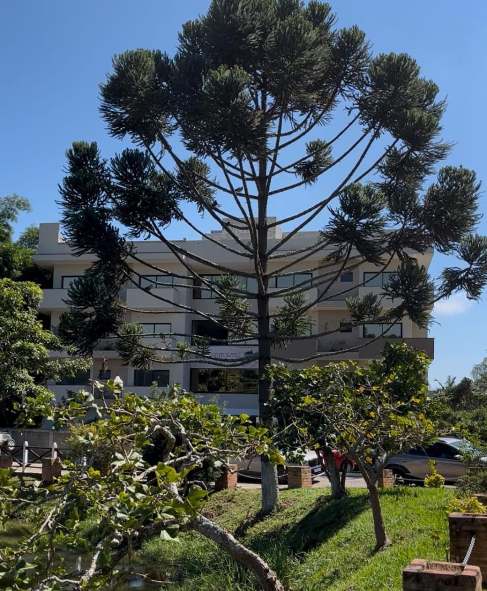 Hotel Quinta do Lago Hotel in Cunha