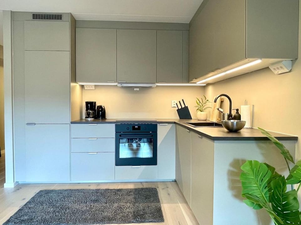 Renovated 2025, Oslo city Lux Apartment in Oslo