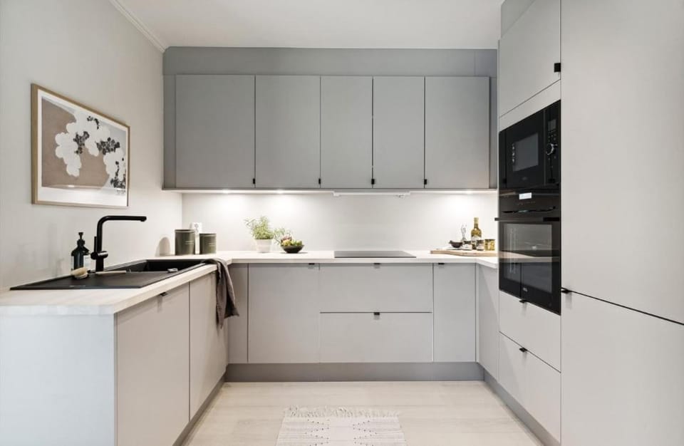 Kitchen or kitchenette, dishwasher