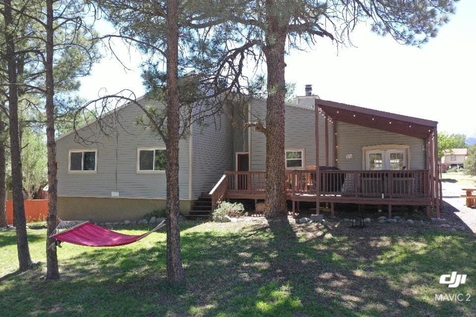 Puttington Bear House in Ruidoso