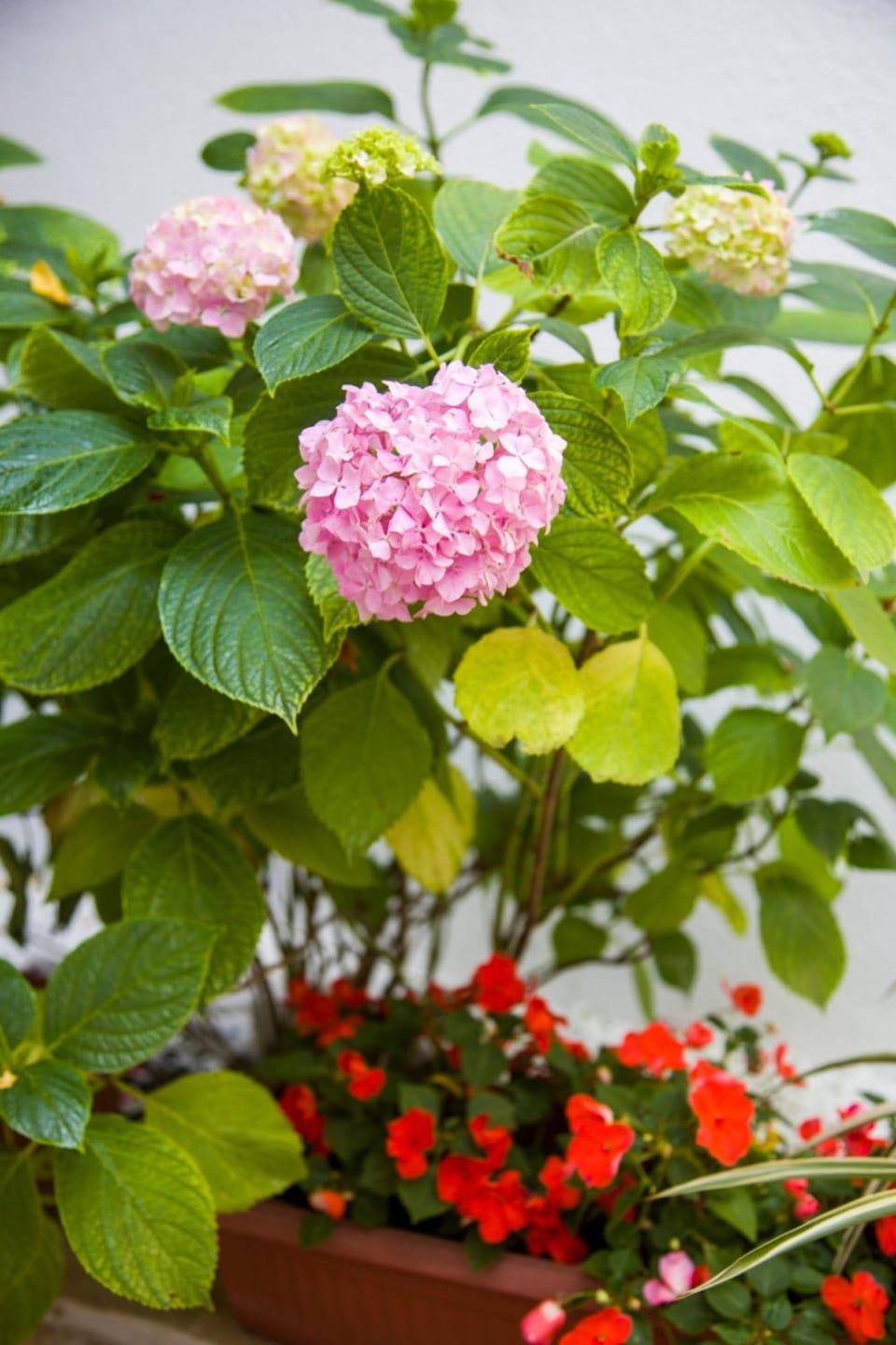 Garden, Garden view