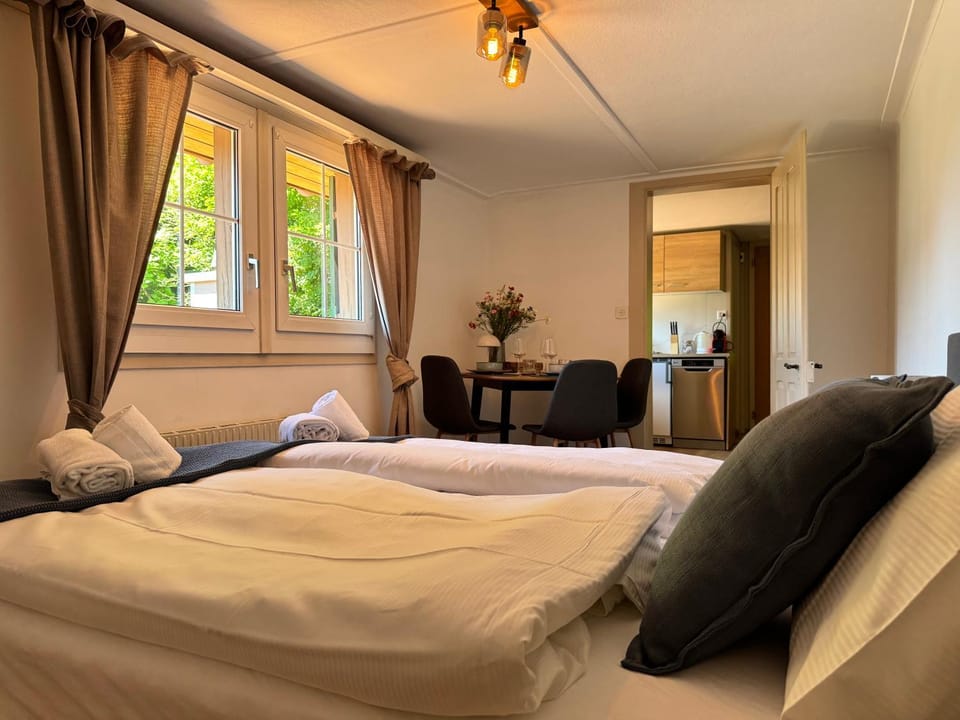 River 4-Kissed Retreat with Iconic Jungfraujoch View Apartment in Interlaken