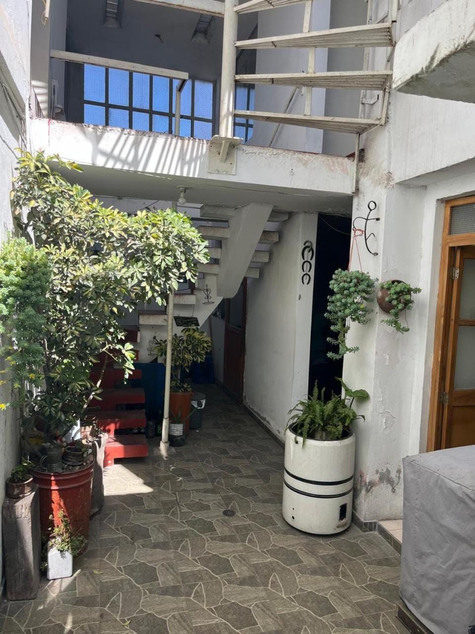 Patio, Day, Garden