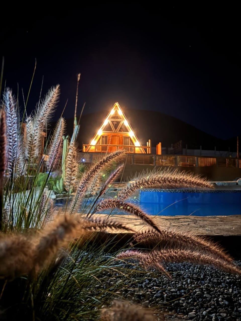 Las Alpinas del valle Apartment in Coquimbo Region