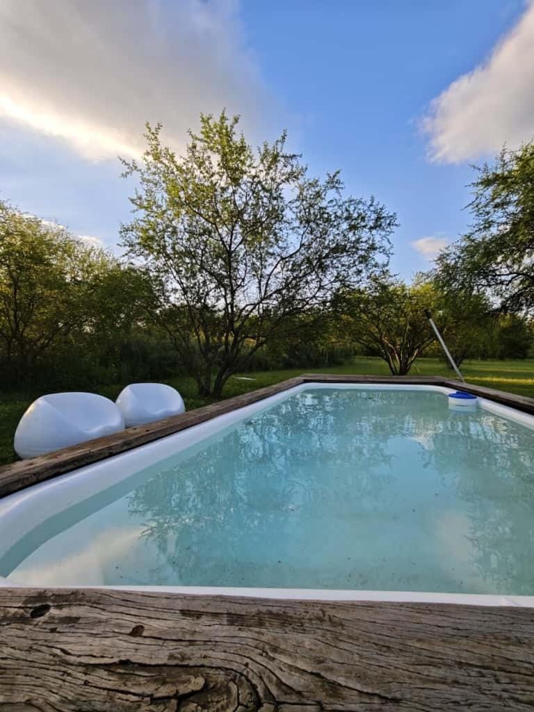 Garden, Swimming pool