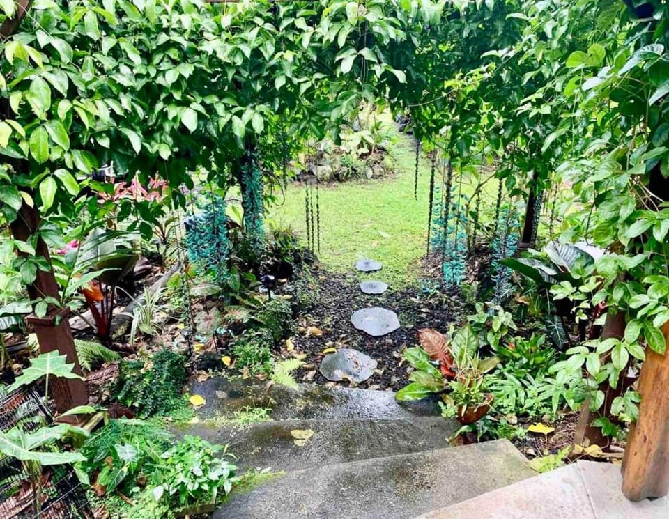 Studio Phoenix Pet Friendly Near Black Sand Beach & Volcanic Forest Apartment in Big Island