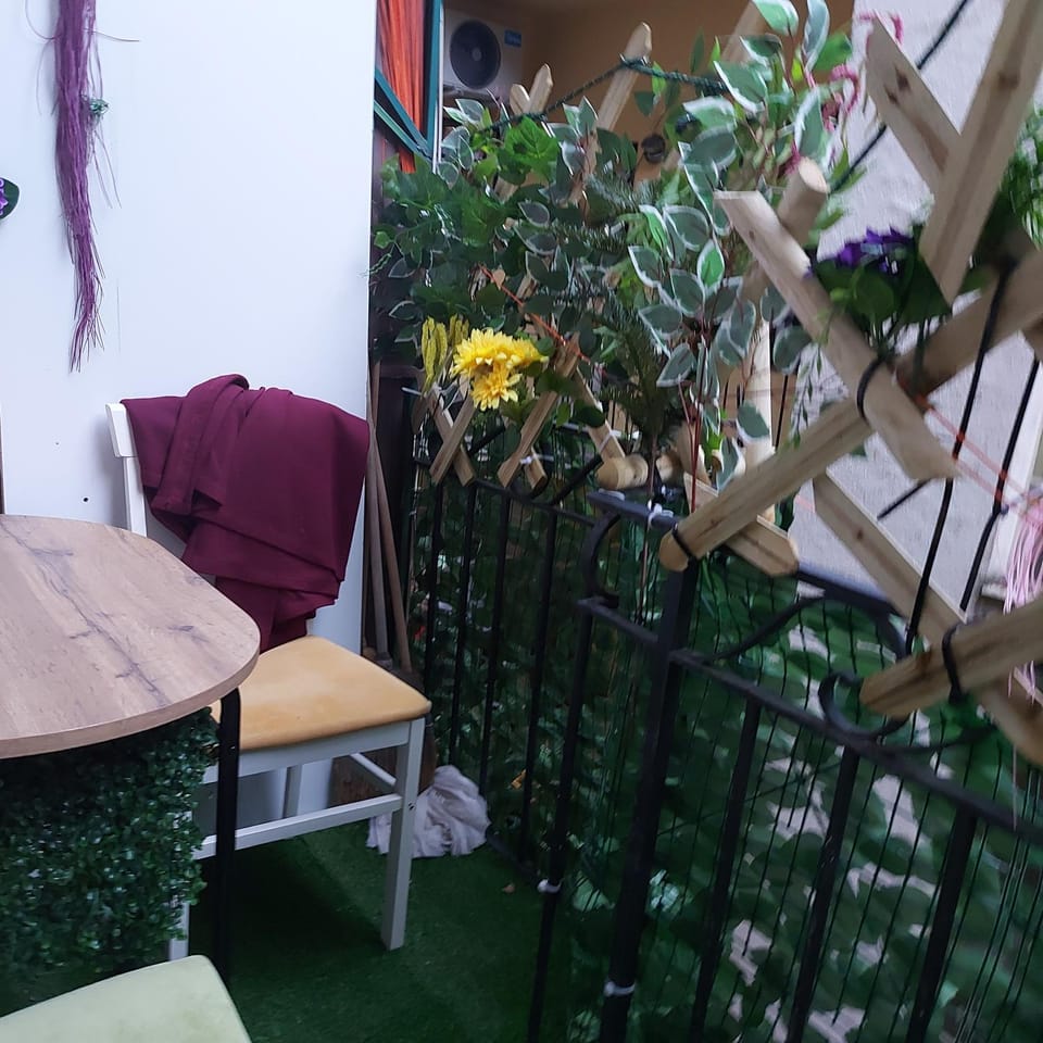 Centrocentro with balcony Apartment in Novi Sad
