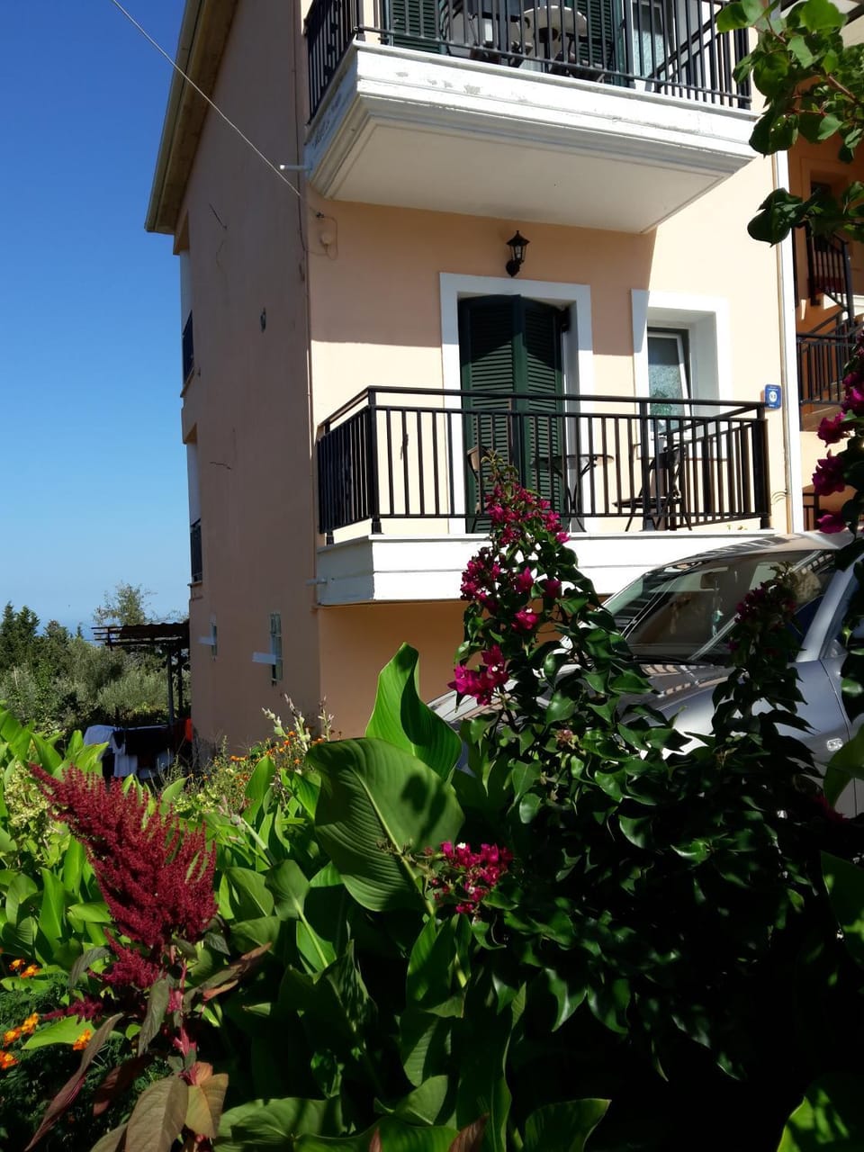On site, Garden view