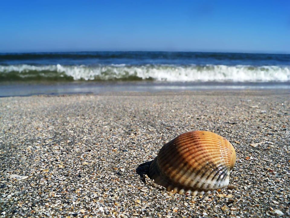 Day, Summer, Beach