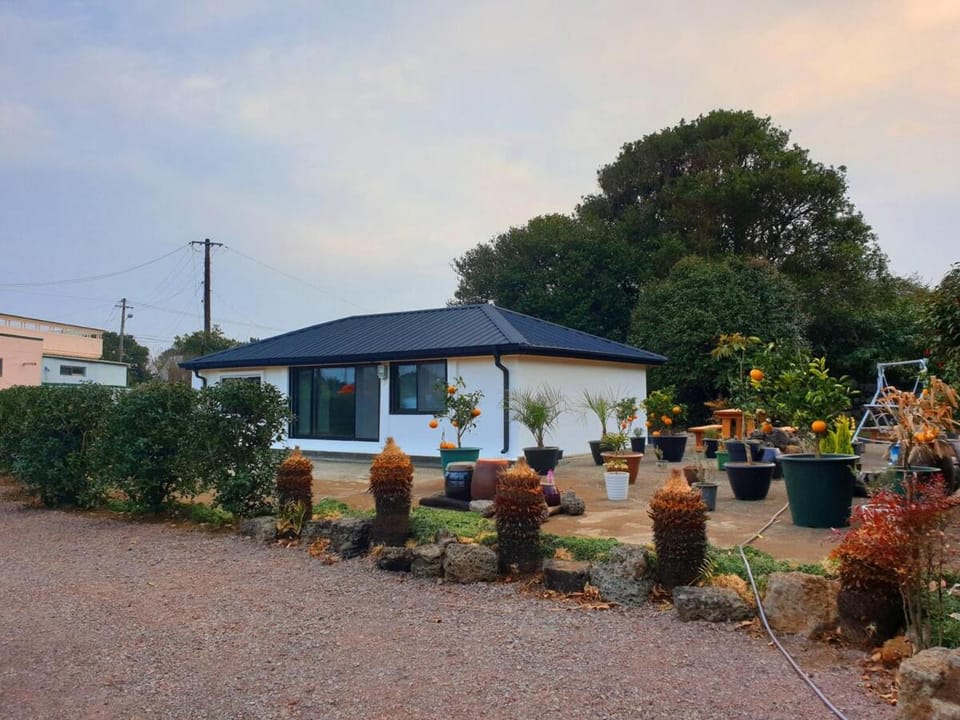 Saesarr Private Stay in Mandarin Orchard, 100m from Sea House in South Korea
