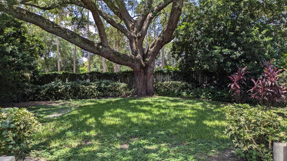 Garden view