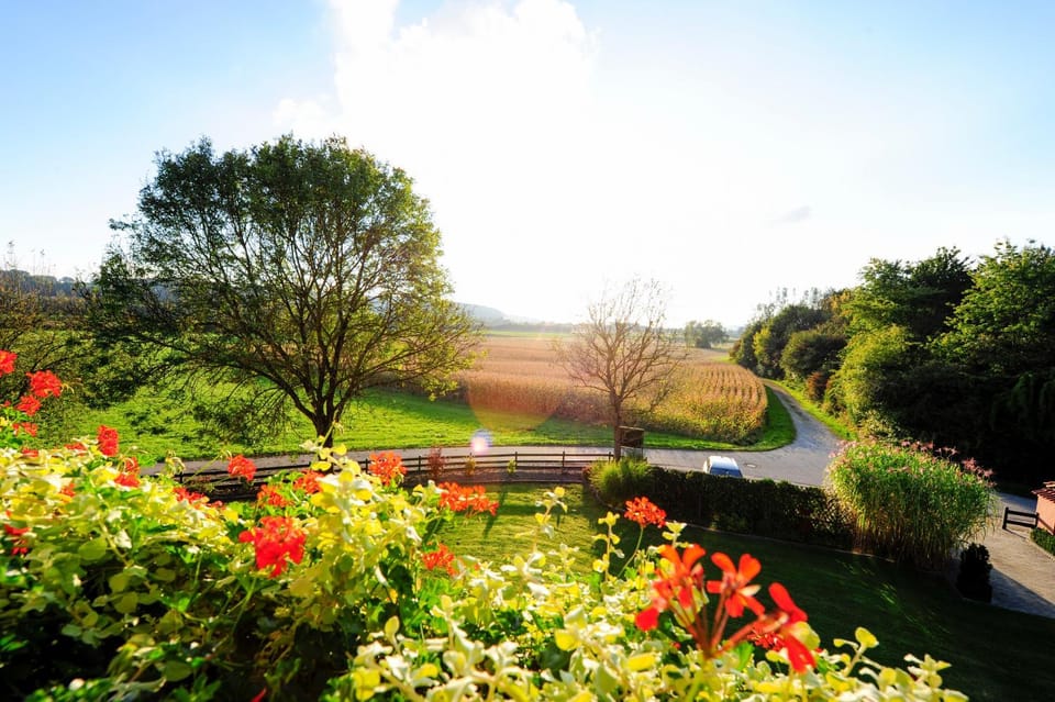 View (from property/room), Balcony/Terrace, Garden view