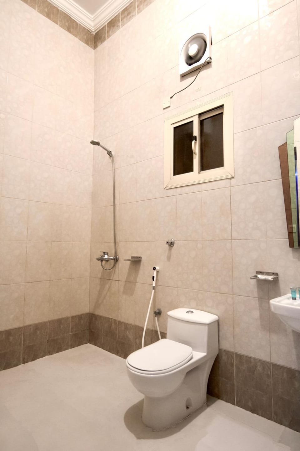 Shower, Toilet, Bathroom, bidet