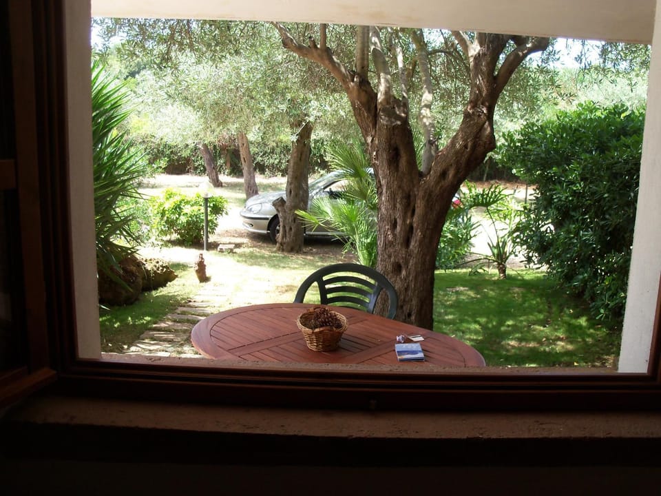 Garden view