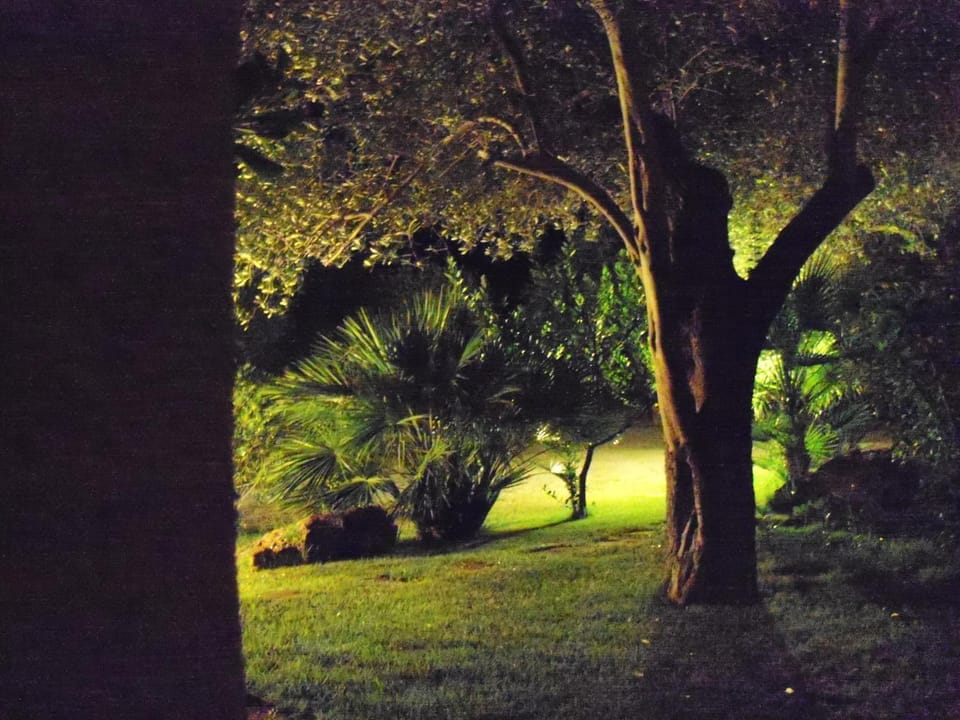 Night