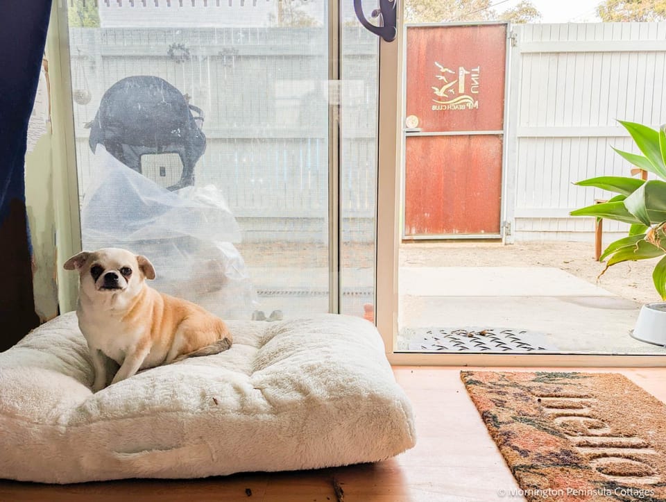 Pets, pet friendly