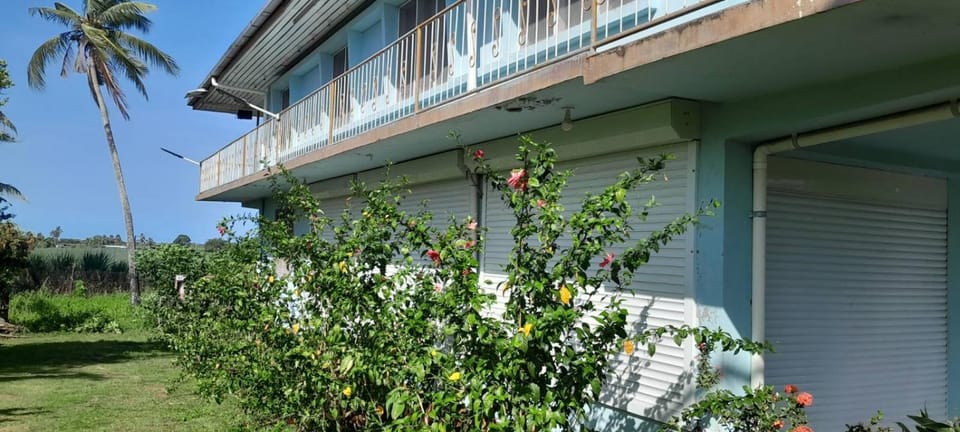 Property building, Garden, Garden view