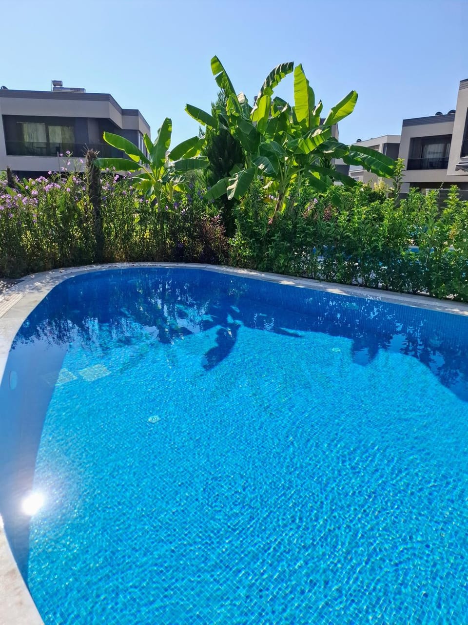 Day, Pool view, Swimming pool