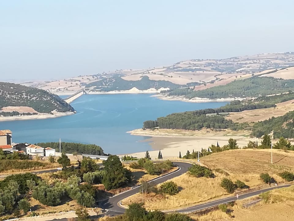 Lake view