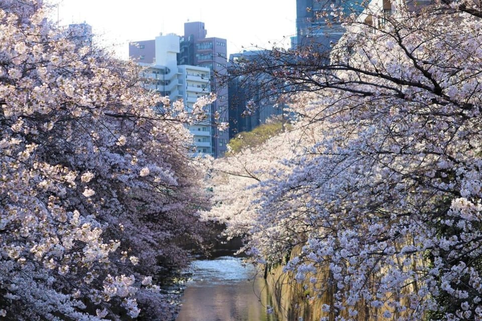 Pr35下落合 Apartment in Shinjuku