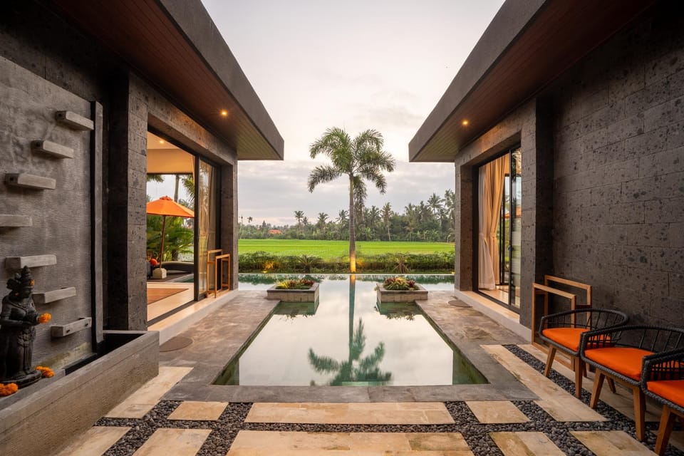 Day, Natural landscape, Garden, Garden view, Pool view, Swimming pool, sunbed