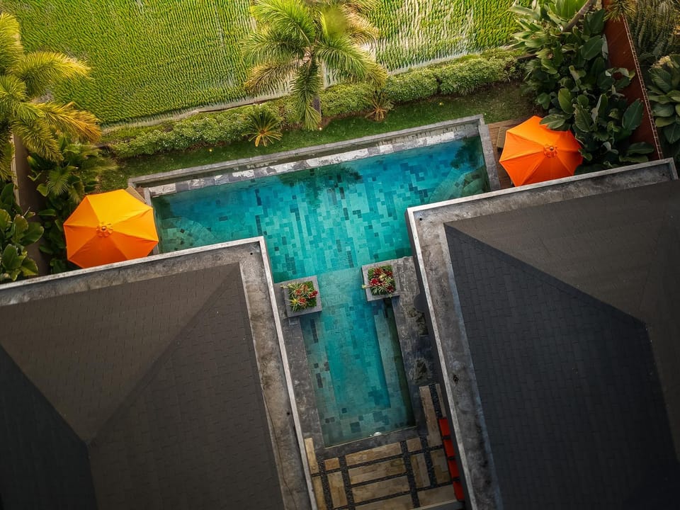 Day, Natural landscape, Pool view, Swimming pool, sunbed