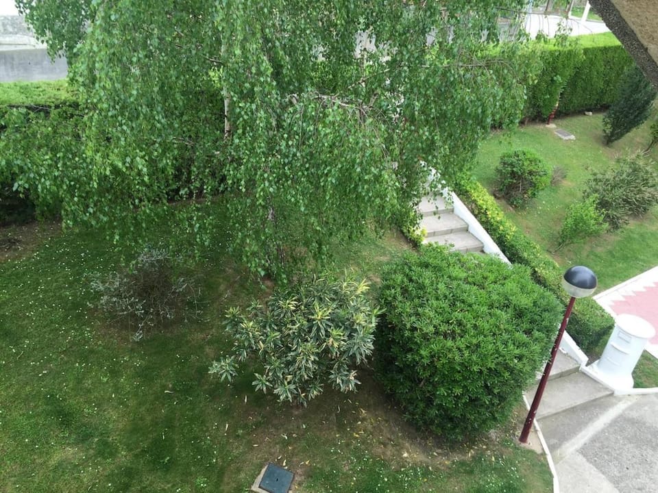 Garden, Garden view
