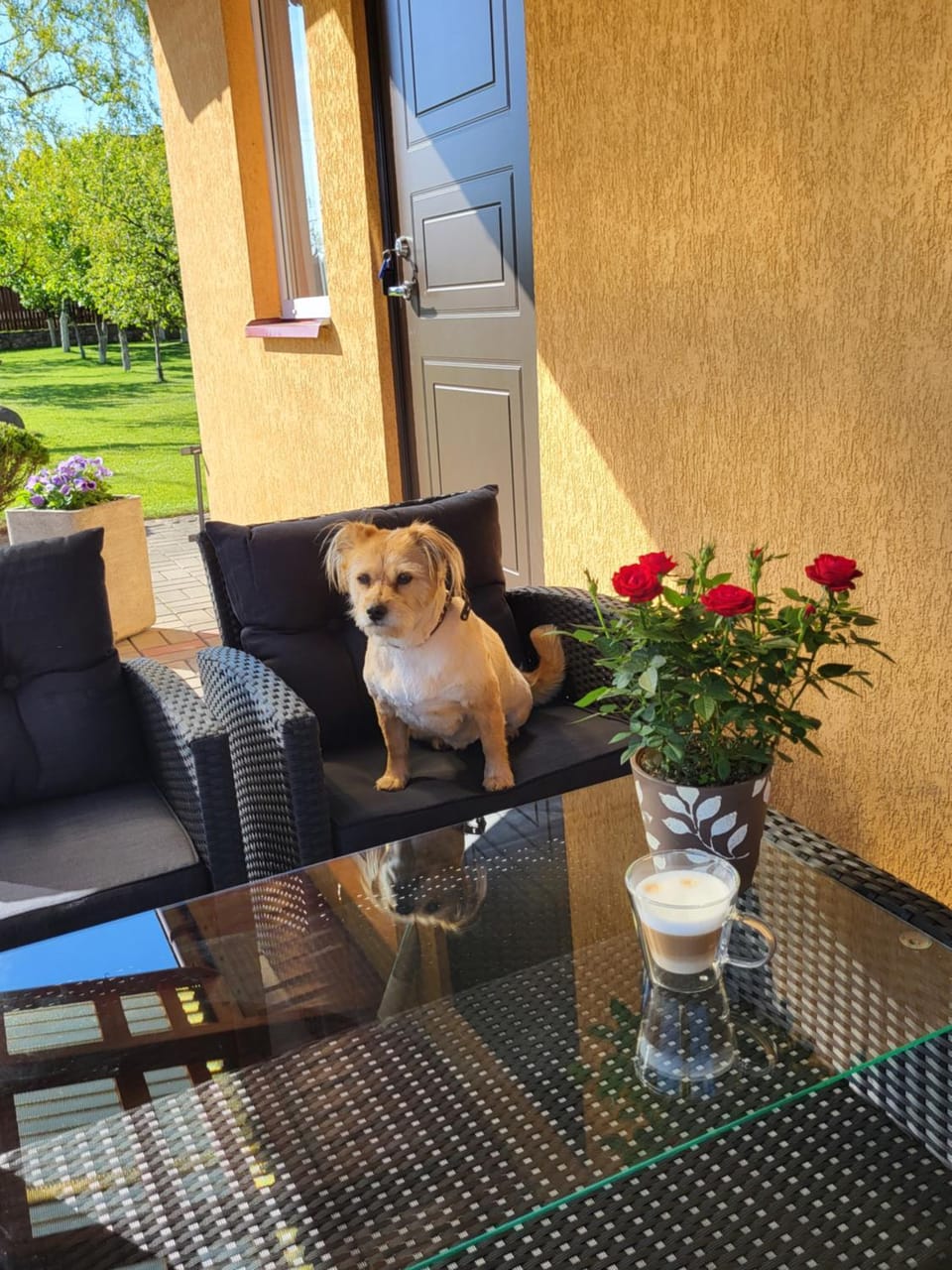 Namelis Rugilė Apartment in Lithuania