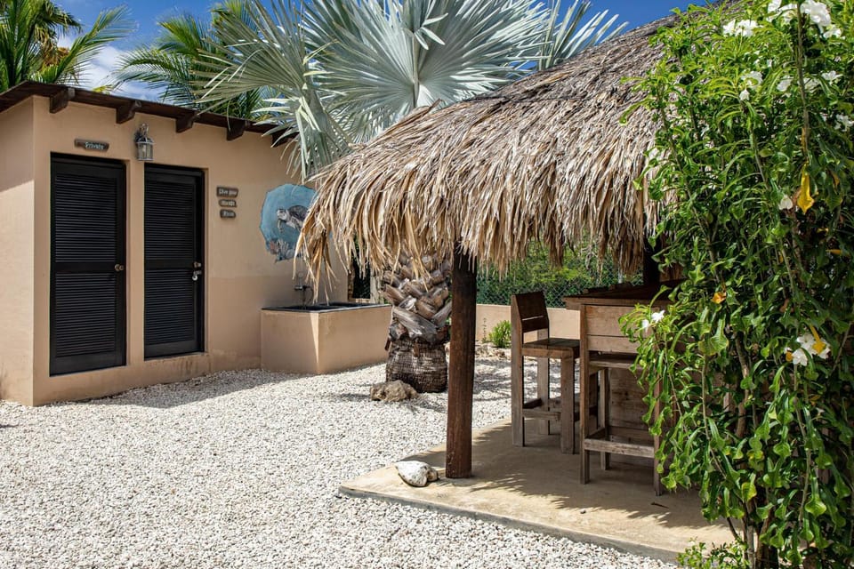 Lounge or bar, Diving