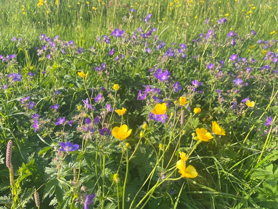 Ferienzimmer Klosterblick Vacation rental in Baden-Württemberg