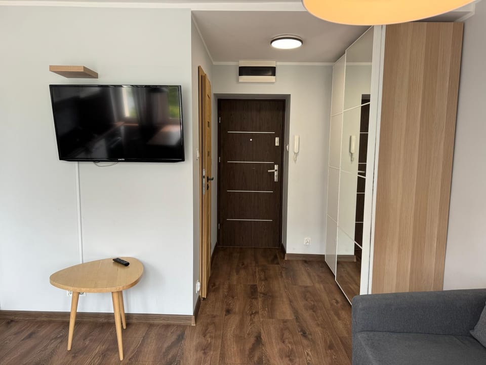 Communal lounge/ TV room, TV and multimedia