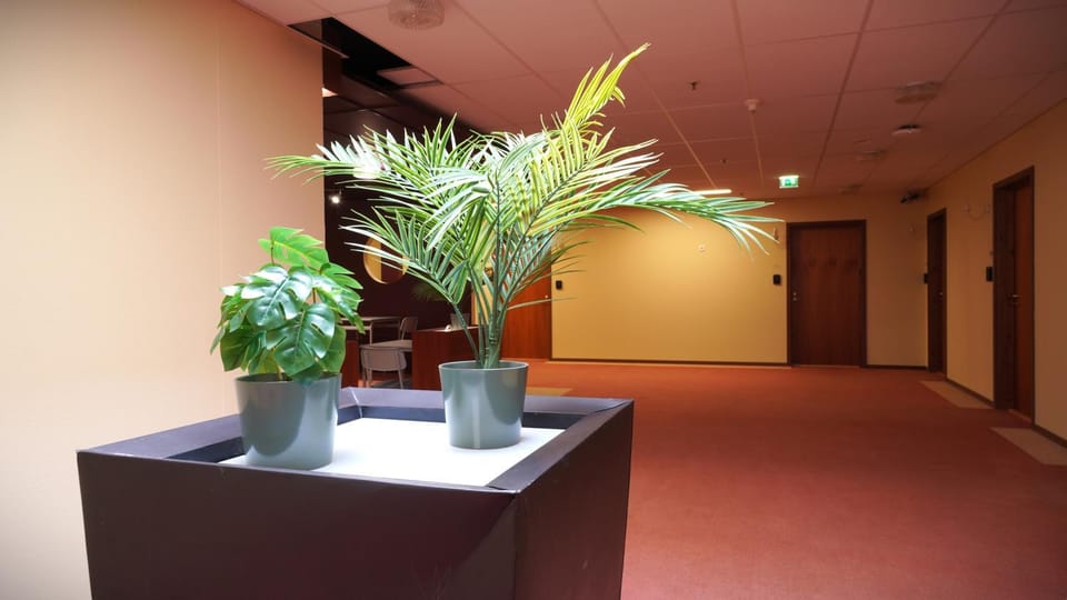 Property building, Lobby or reception