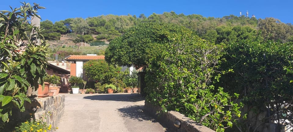 Natural landscape, Garden