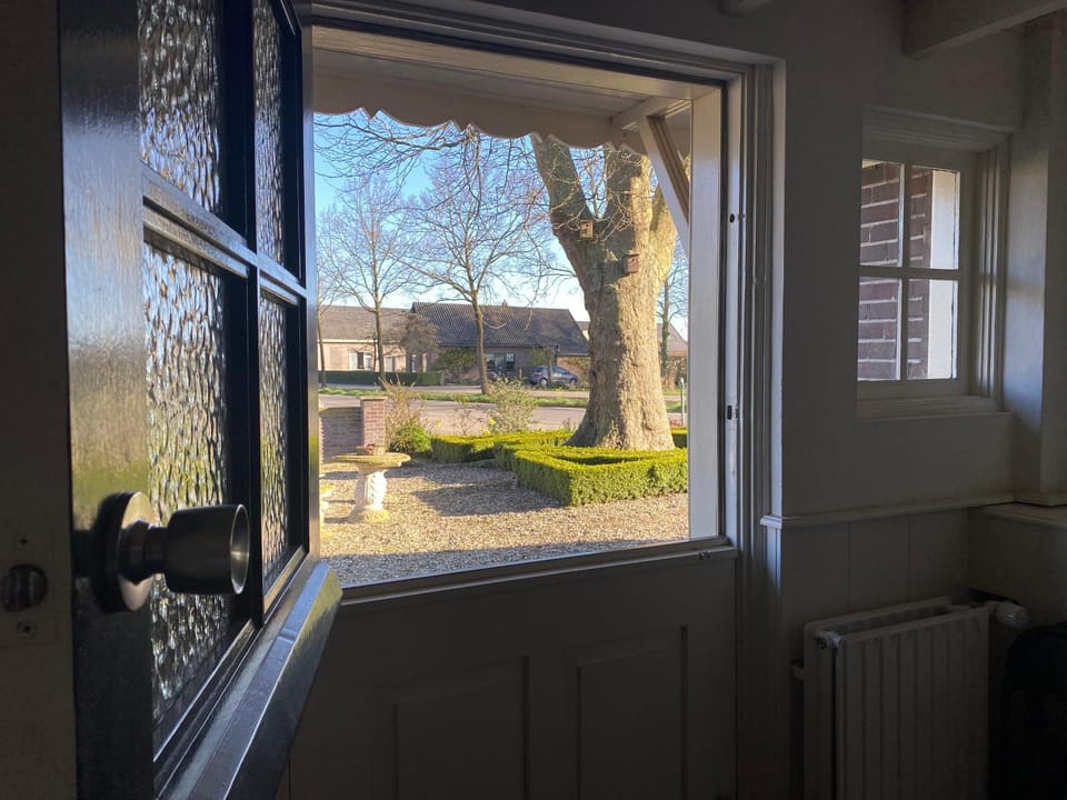 Garden view