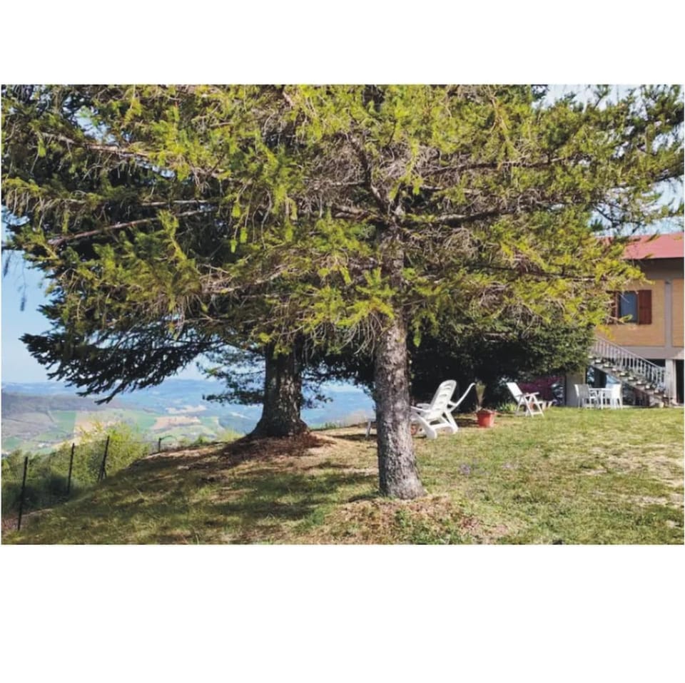 Property building, Natural landscape, Garden, Garden view