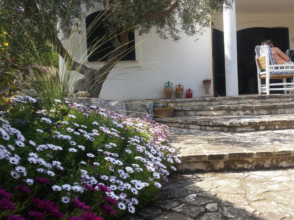 Property building, Garden