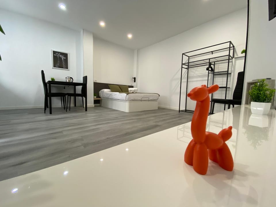Loft La Jirafa Apartment in Las Palmas de Gran Canaria