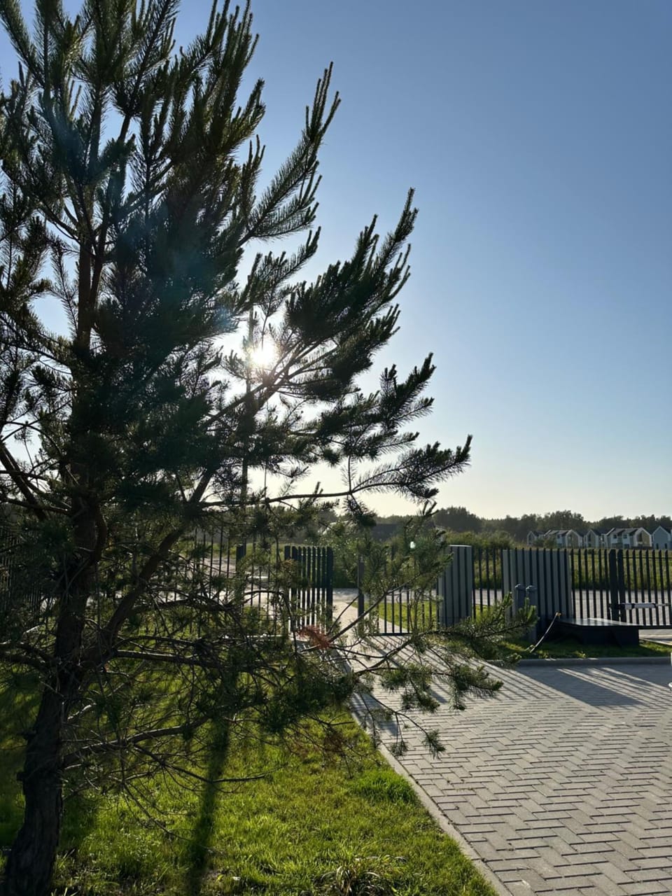 Sunset balcony Takas į jūrą 2 Apartment in Palanga