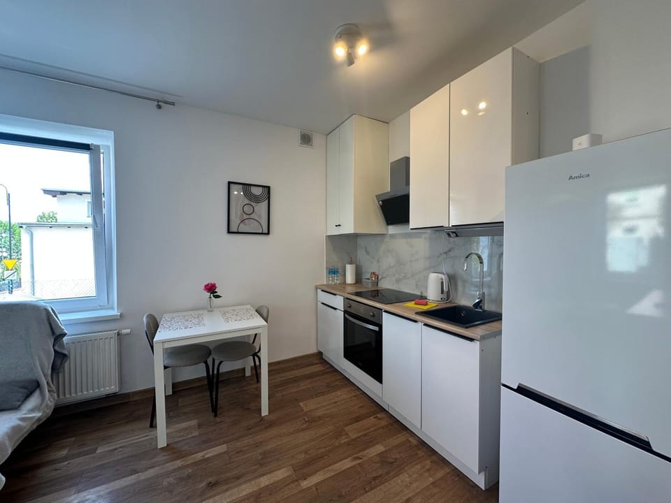 Sukces Apartament przy deptaku Apartment in Lower Silesian Voivodeship