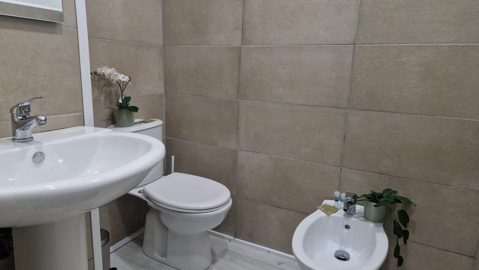 Shower, Toilet, Bathroom, bidet
